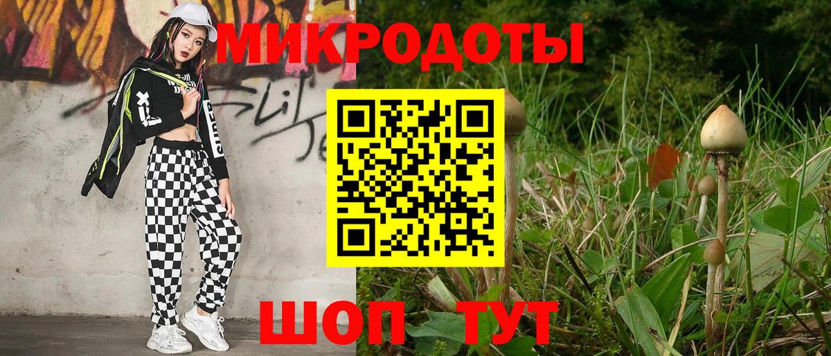 Галлюциногенные грибы Psilocybe Губкинский
